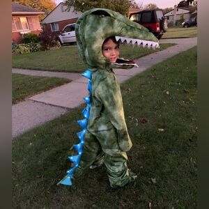 Dinosaur Costumer for 7-8 year old.